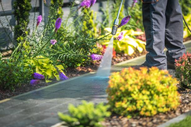 Best Brick and Stone Cleaning in Rosedale, CA