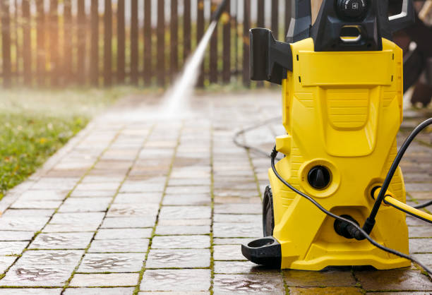 Best Roof Cleaning and Mildew Removal in Rosedale, CA